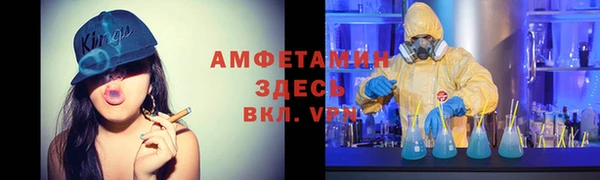 гидропоника Дмитриев