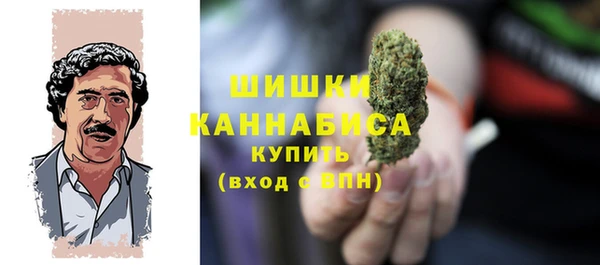 гидропоника Дмитриев