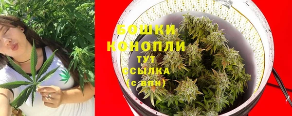 гидропоника Дмитриев