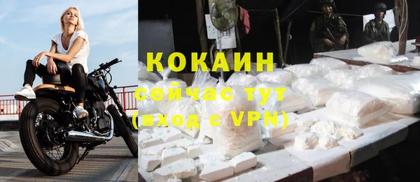 гидропоника Дмитриев