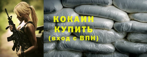 гидропоника Дмитриев
