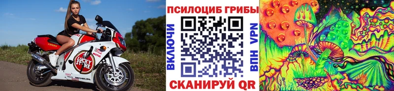 Купить где  Осташков  Галлюциногенные грибы прущие грибы 